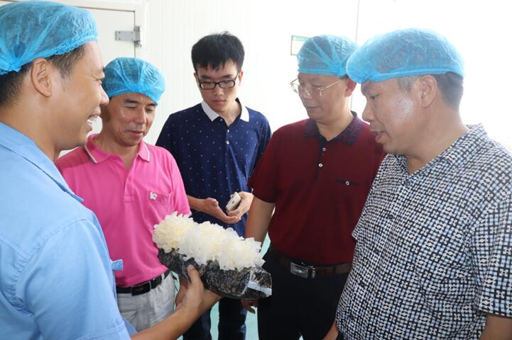 “湘軍故里,鋼鐵新城”我院助力婁底市開啟創(chuàng)新發(fā)展新篇章