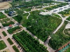 膠州、萊西獲選山東省省級現代農業(yè)產業(yè)園建設主體