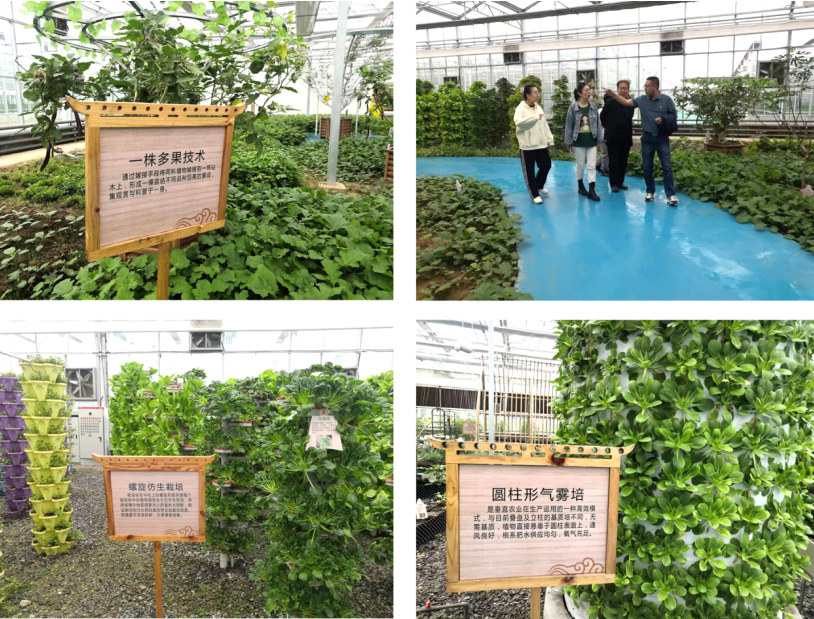 晉之源果蔬再啟航，曲沃開啟國家農業現代化示范區新征程