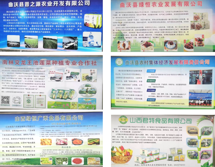 晉之源果蔬再啟航，曲沃開啟國家農業現代化示范區新征程